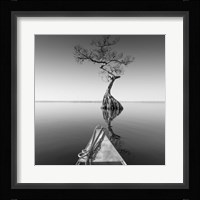 Alone With My Tree Framed Print