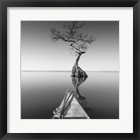 Alone With My Tree Framed Print