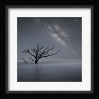 Milky Way In Botany Bay 1 Fine Art Print