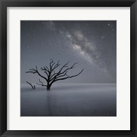 Milky Way In Botany Bay 1 Fine Art Print