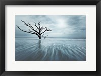 Searching For Life Color Edit Fine Art Print