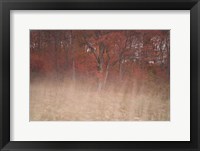 Trees On Wind 2 Fine Art Print