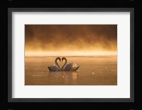 Lovers Fine Art Print
