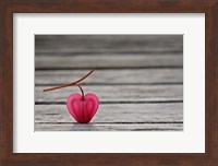 Natural Heart Fine Art Print