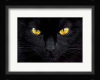 The Hypnotist of the Night Fine Art Print