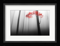 Illusion Fine Art Print