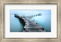 Carrasqueira II Fine Art Print