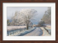 A Frosty Morning Fine Art Print