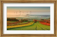 Autumn Atmosphere In Vineyards Fine Art Print