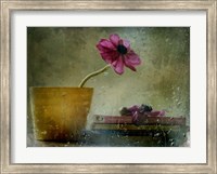 A Day To Stay At Home Fine Art Print