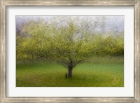The Cat By the Tree Fine Art Print