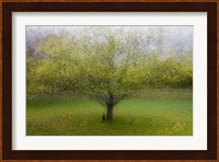 The Cat By the Tree Fine Art Print