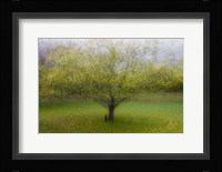 The Cat By the Tree Fine Art Print