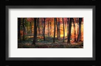 Autumn Woodland Sunrise Fine Art Print
