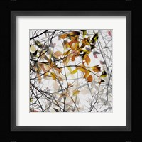 Autumn Song Fine Art Print