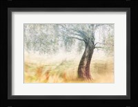 Twisted Dream Fine Art Print