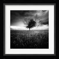 Illusion D'un Printemps Perdu Fine Art Print