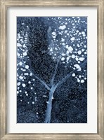 Winter Blossom Fine Art Print