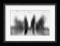 Tree Architecture Fine Art Print