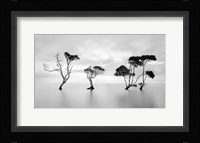 Drowning Not Waving Fine Art Print