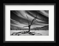 The Supervisor Fine Art Print