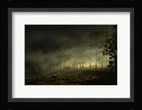 Misty Morning Fine Art Print
