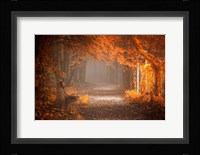 Waiting To Fall Fine Art Print