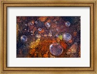 Winter Over Autumn Fine Art Print