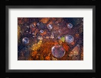 Winter Over Autumn Fine Art Print