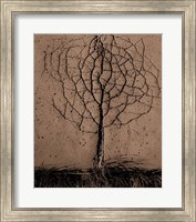 Asphalt Tree Fine Art Print
