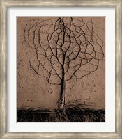 Asphalt Tree Fine Art Print