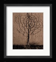 Asphalt Tree Fine Art Print