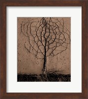 Asphalt Tree Fine Art Print