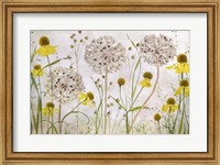 Alliums and Heleniums Fine Art Print