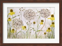 Alliums and Heleniums Fine Art Print
