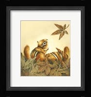 Fall Flurry Fine Art Print