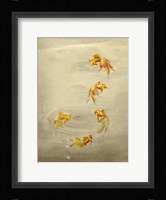 Glittering Goldfish Fine Art Print