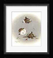 Grounded Fine Art Print