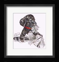 Newspaper Pup - 13A Fine Art Print