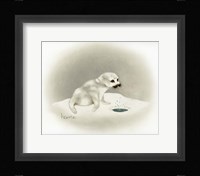 Seal Fine Art Print