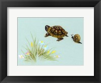 Spring Fling - Trutle And Snail Fine Art Print