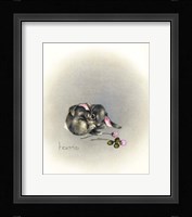 Ears Lookin At You Kid Fine Art Print