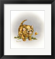 Fraidy Cat Fine Art Print