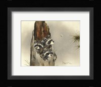 Ain'T Misbehavin'... Yet Fine Art Print