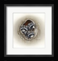 Raccoons In Hole Fine Art Print