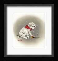Dalmation 3- Sprinkles Fine Art Print