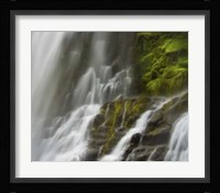 Glowing Mist Fine Art Print