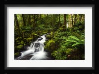 Moment In Nature Fine Art Print