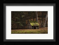 Rustic Glow Fine Art Print