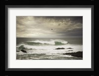 The Flight Fine Art Print